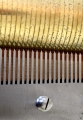 Comb